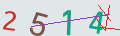 verifycode